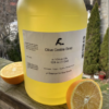 picture of citrus castile soap on an outdoor patio